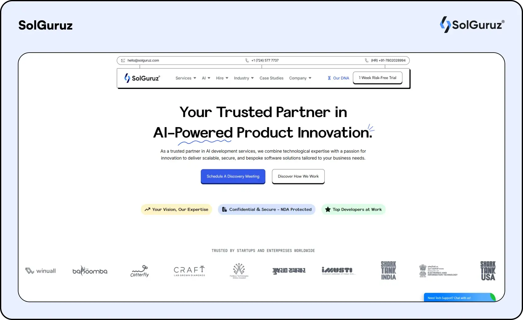 solguruz custom software development company