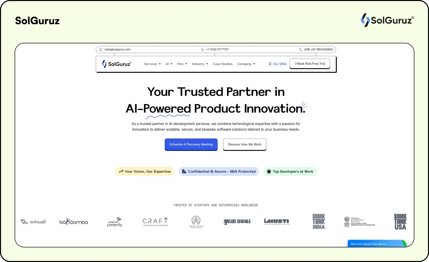 solguruz ai agent development company