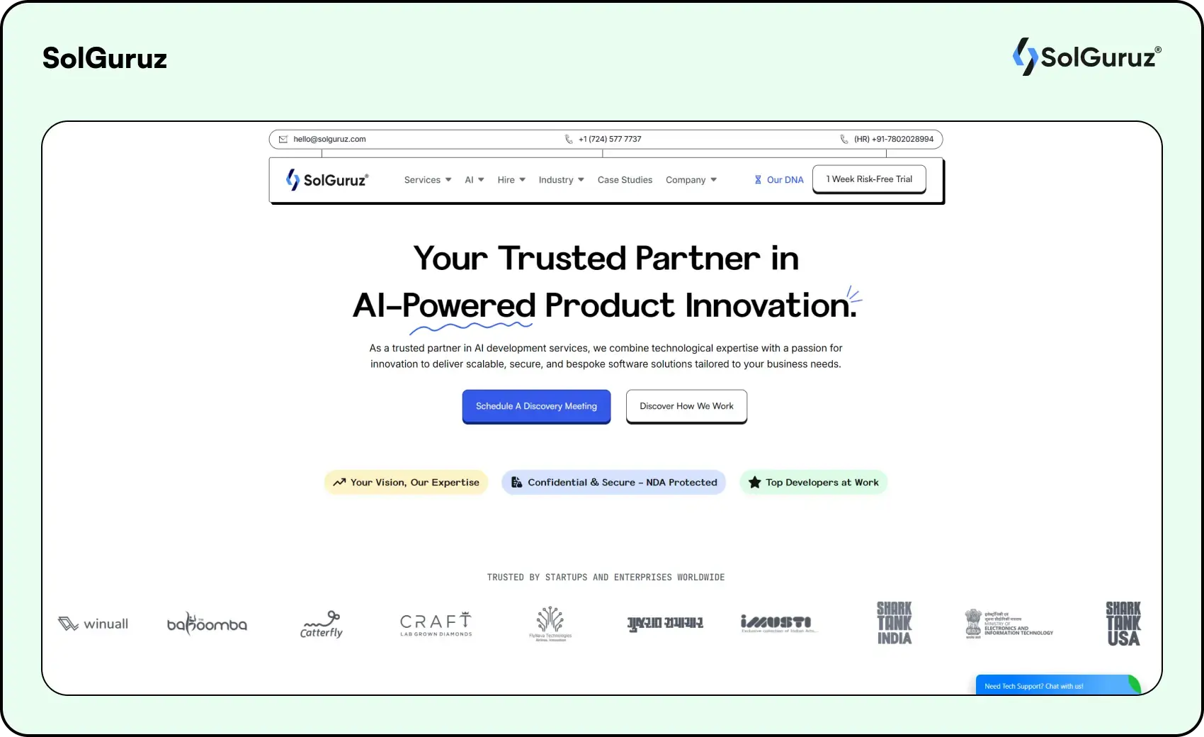 solguruz enterprise software development companies